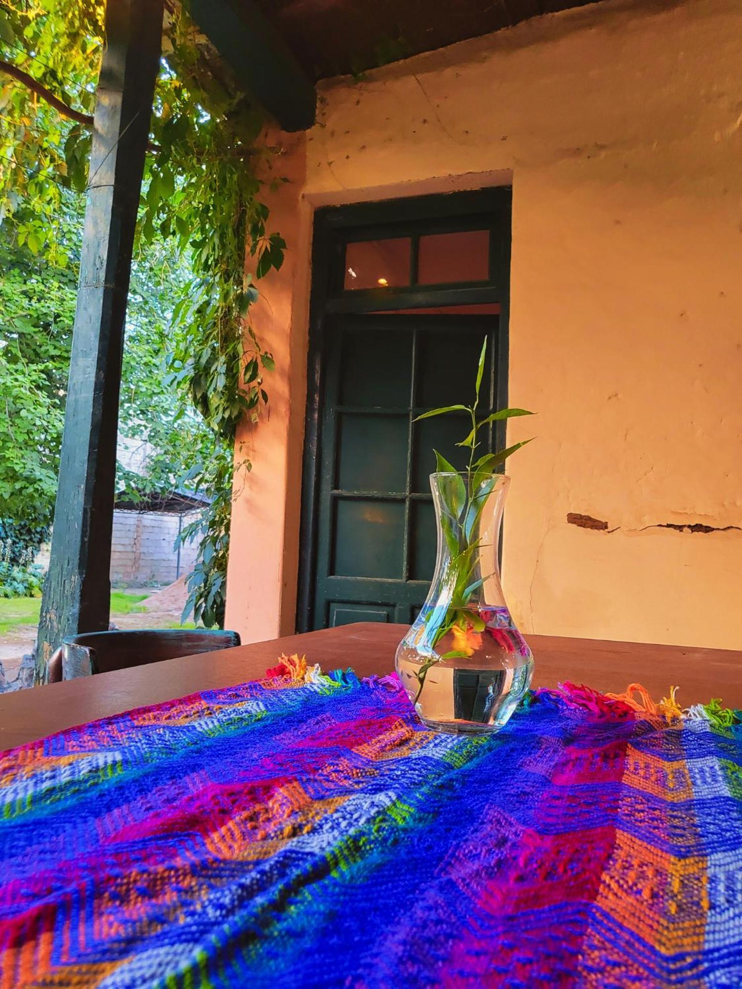 Casa Vidal Guesthouse Tupungato Exteriér fotografie